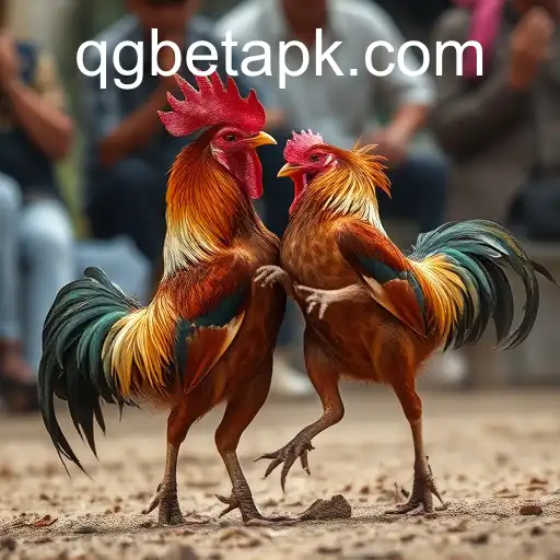 Gaming Experience QGBET - 800+ Premium and Exclusive Games